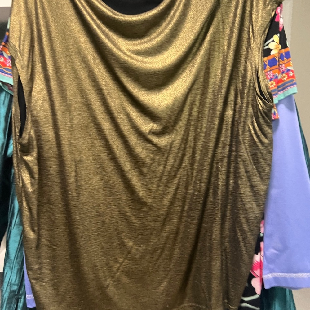 Metallic gold blouse